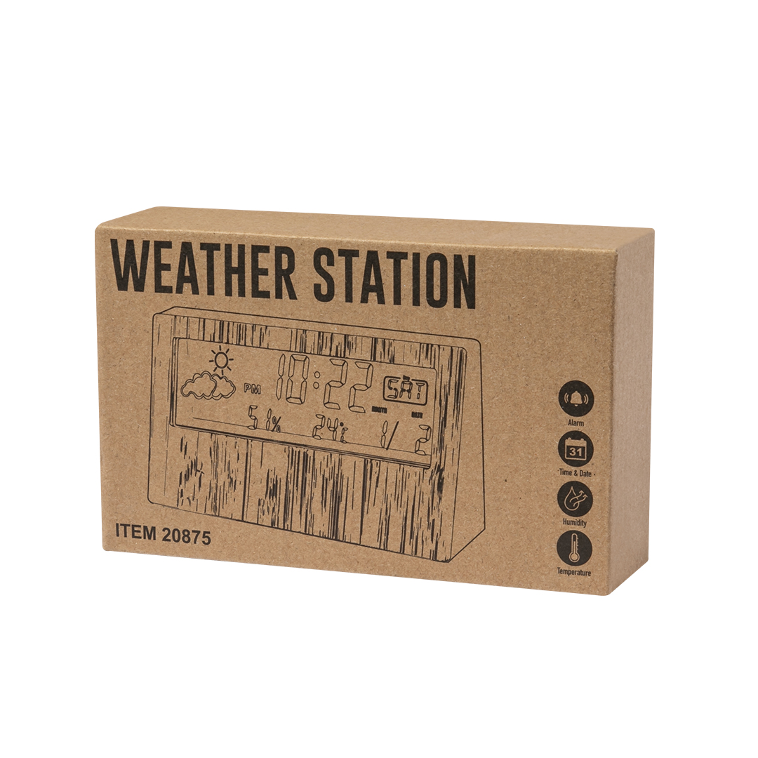 Station Météo Roamer