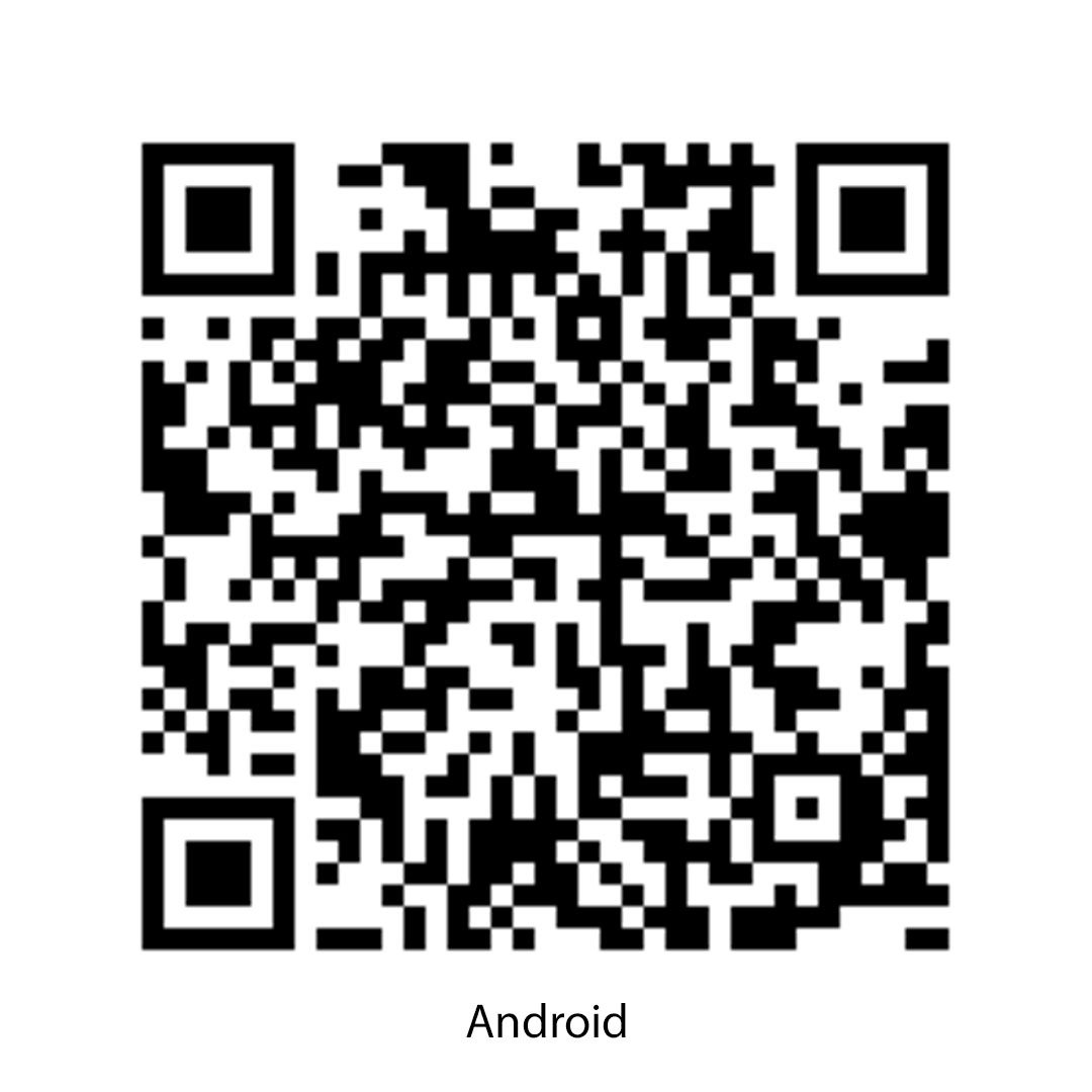 Bracelet Intelligent Wesly
