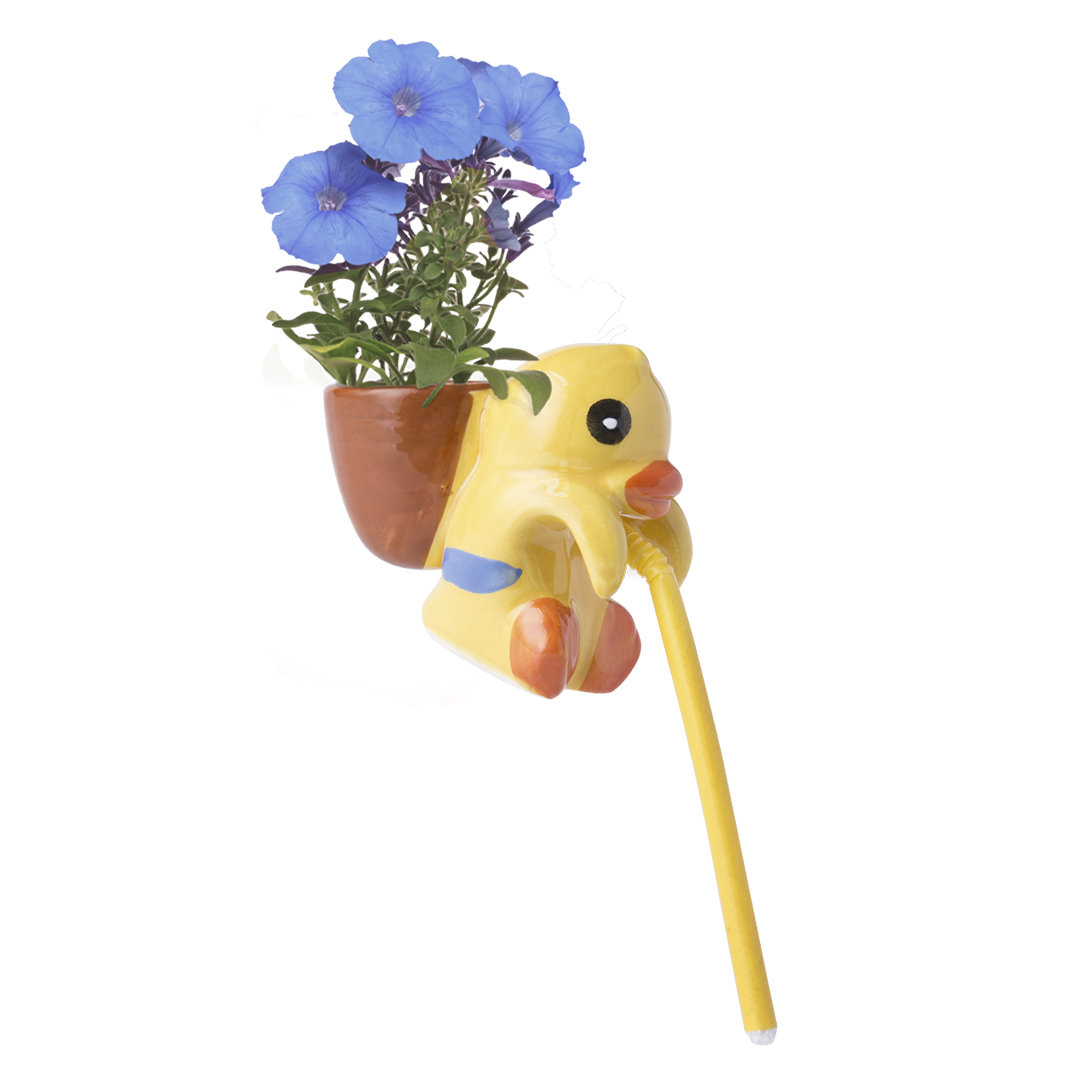 Pot de Fleurs Chupon