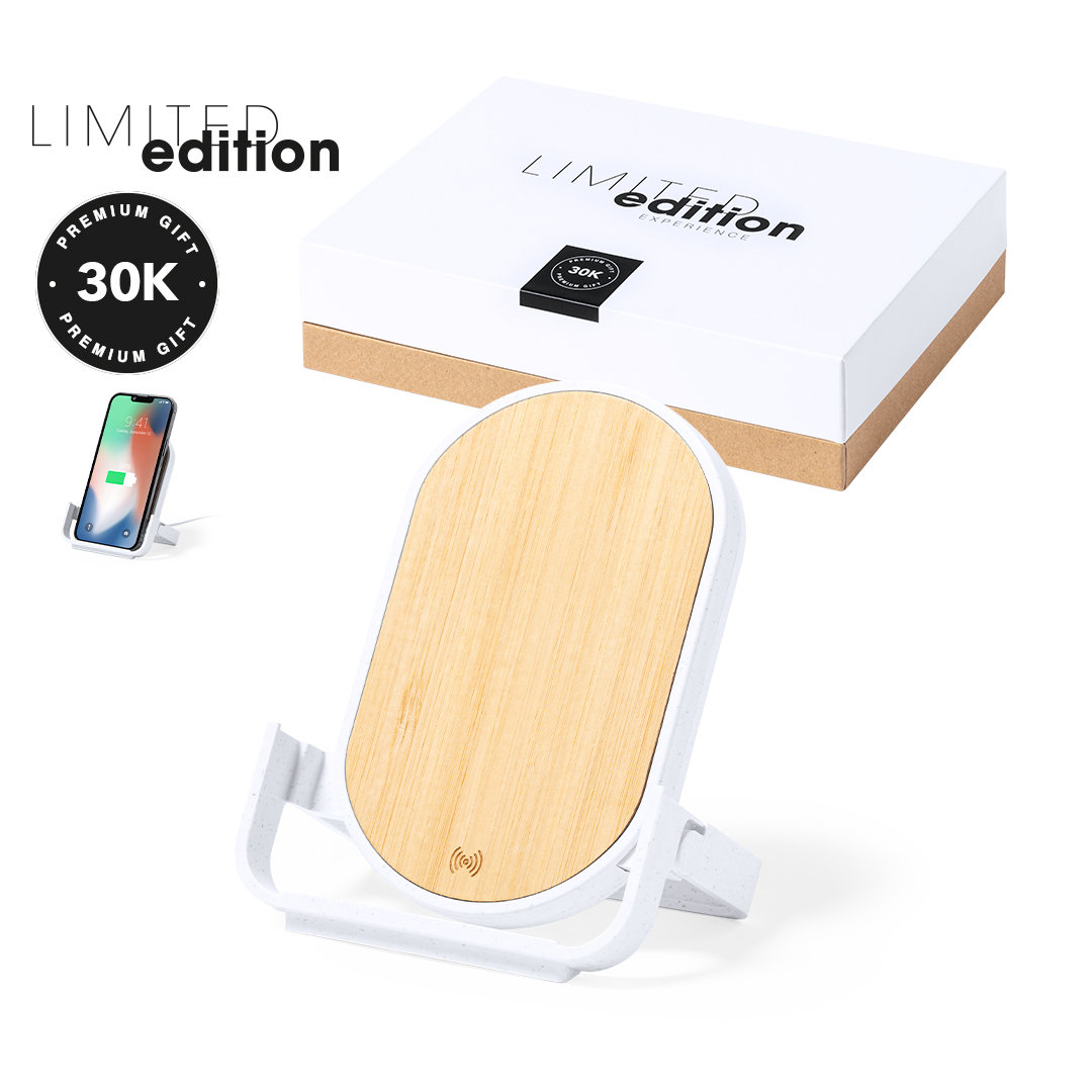 Chargeur Buisson