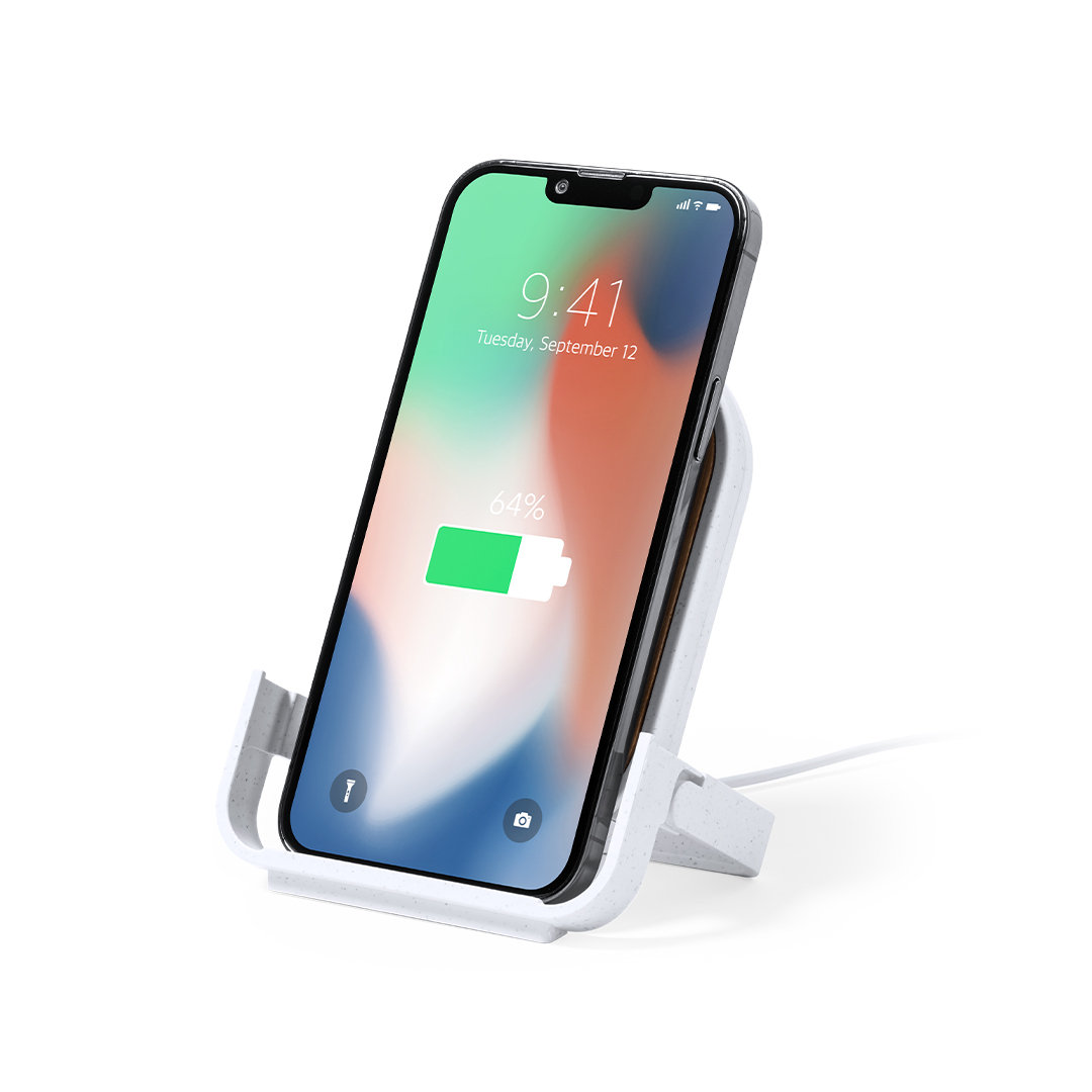 Chargeur Buisson