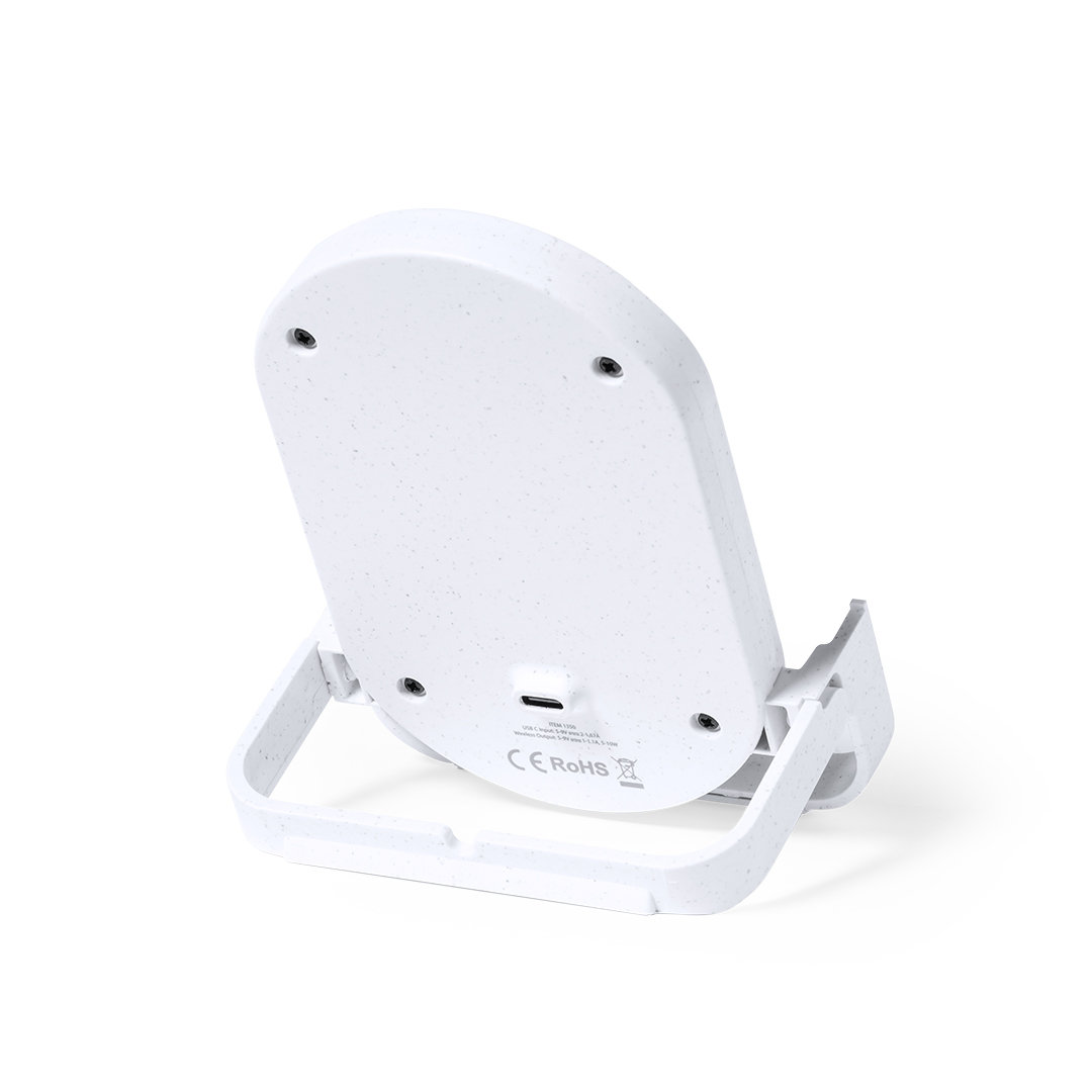 Chargeur Buisson