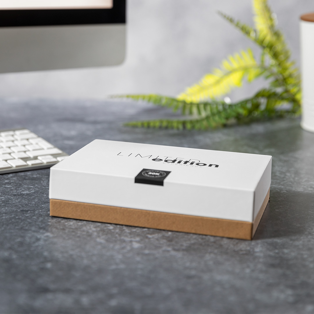 Chargeur Buisson