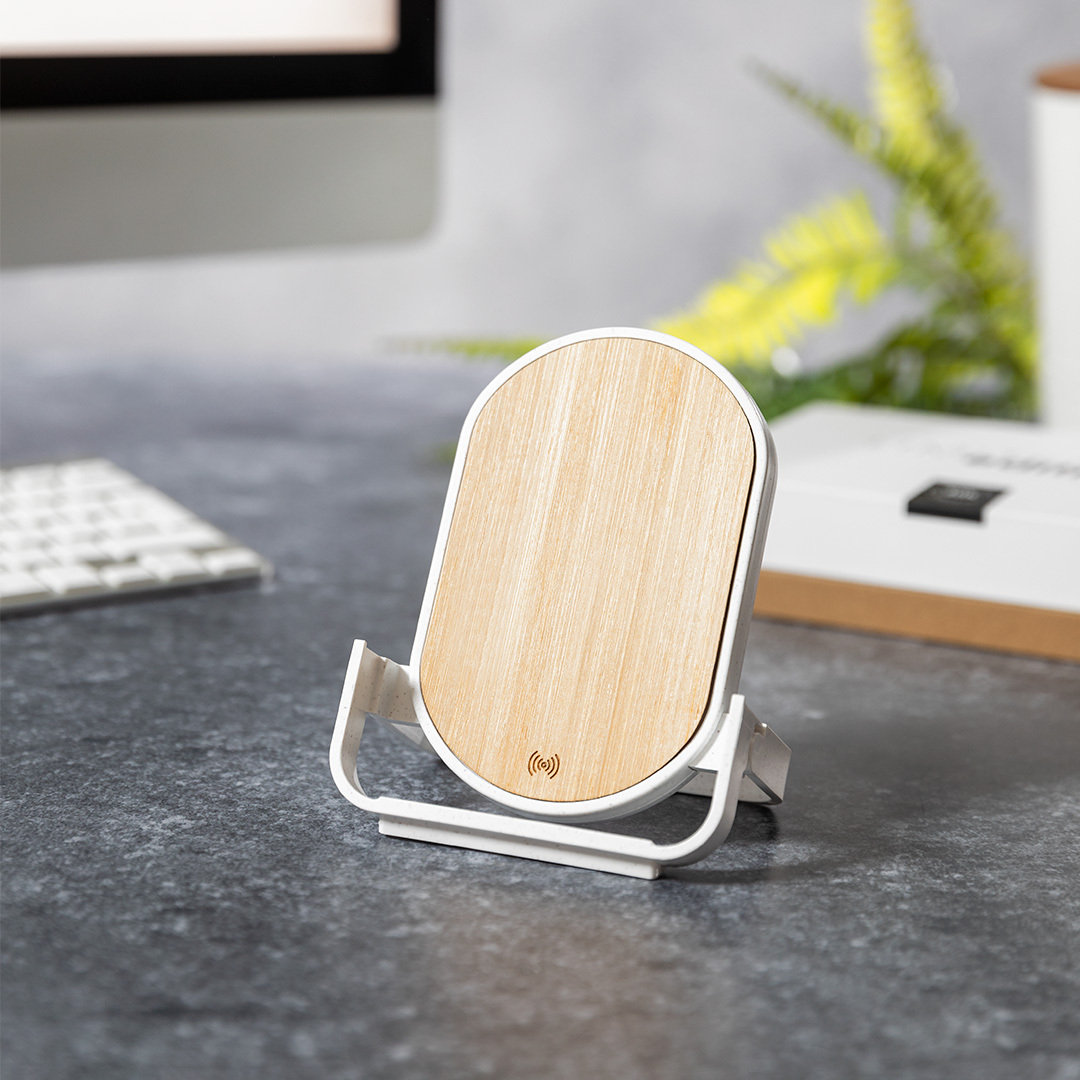 Chargeur Buisson