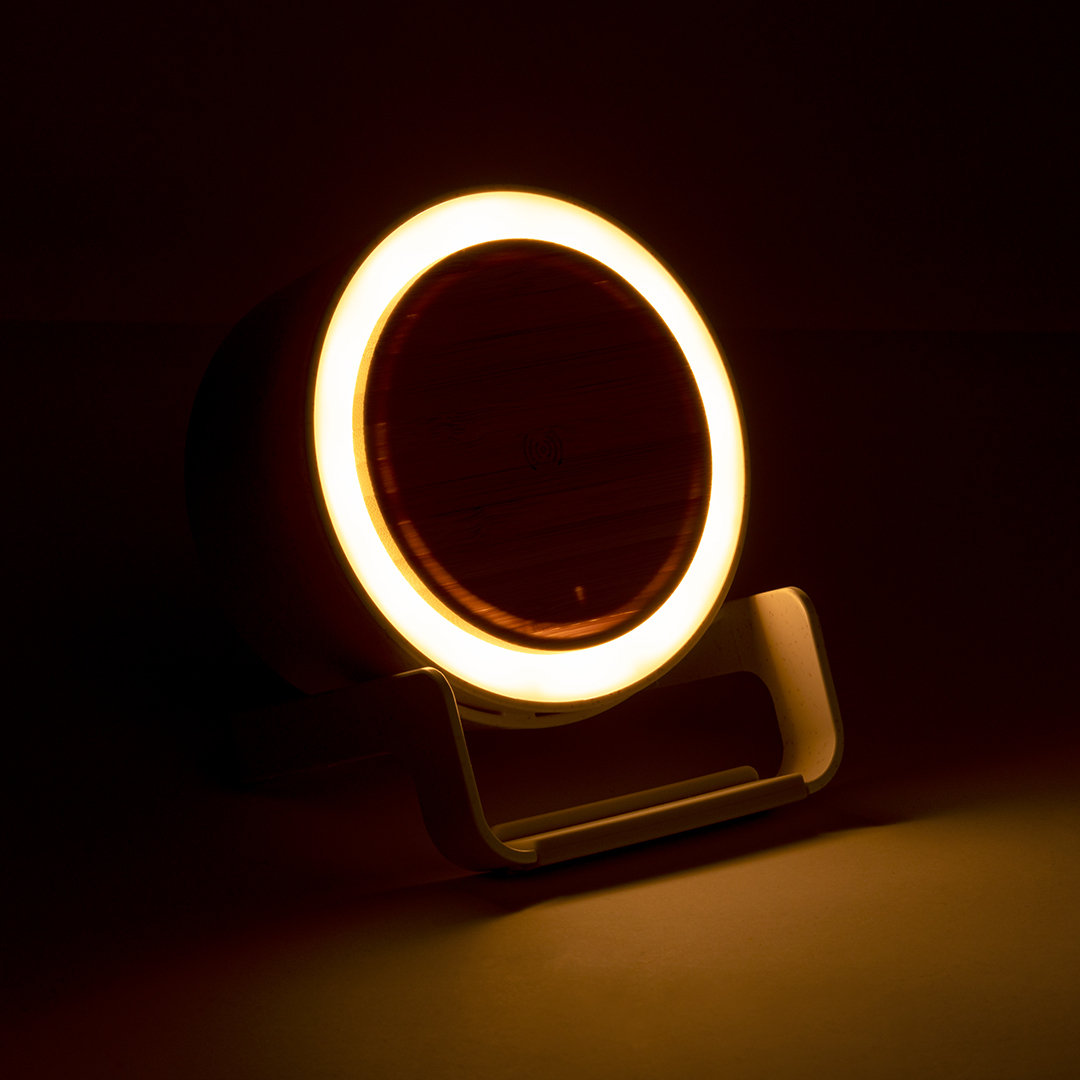 Lampe Multifonction Sadow