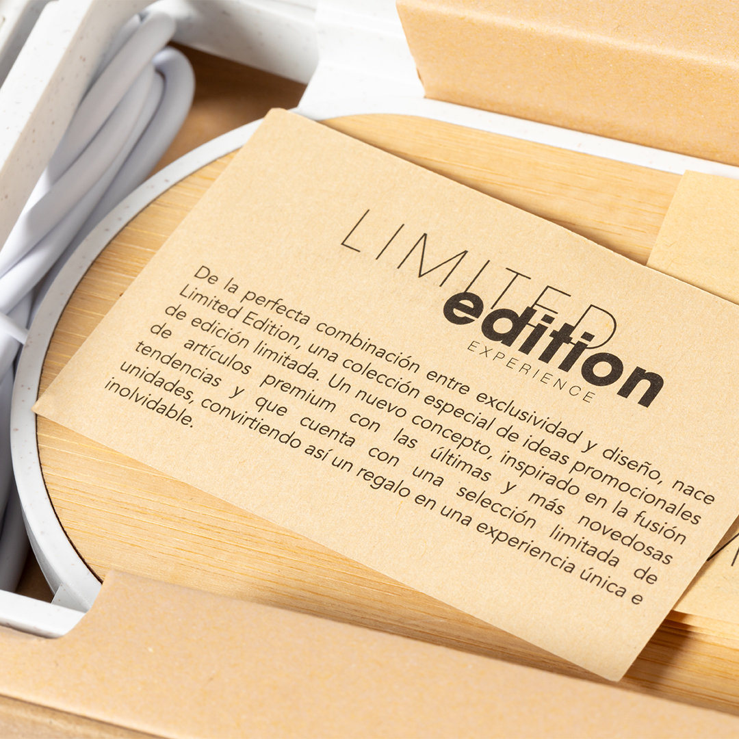 Chargeur Buisson
