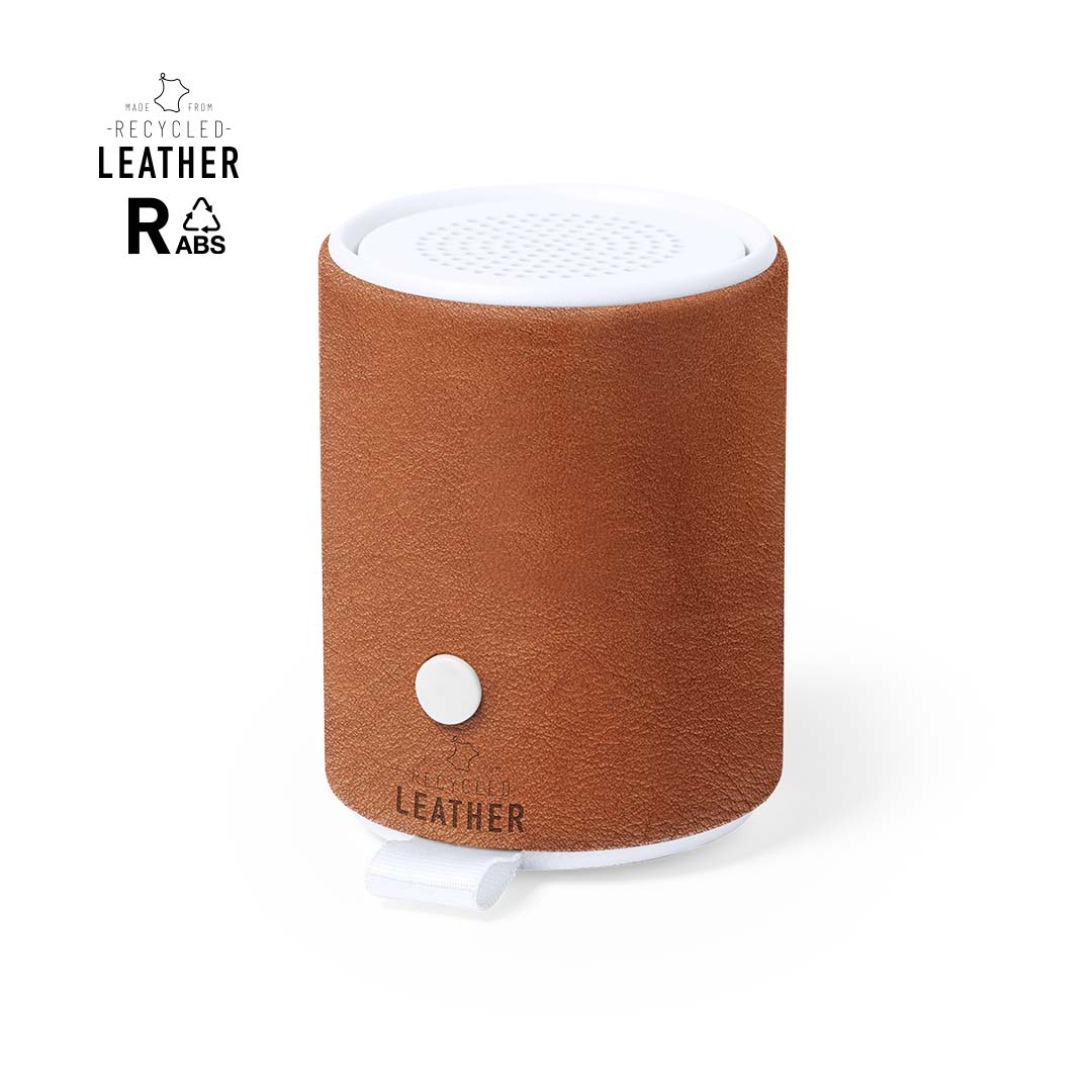 Haut-Parleur Sotep RCS