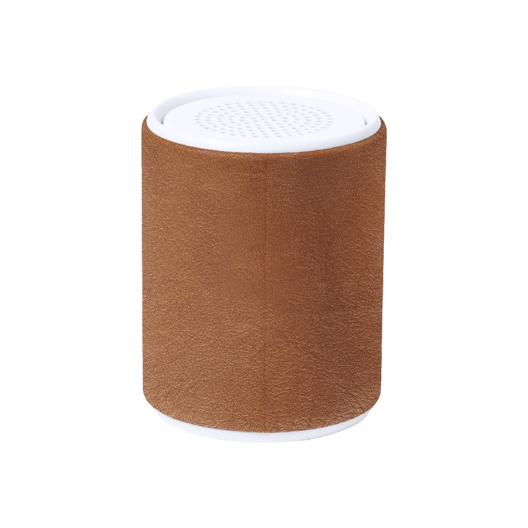 Haut-Parleur Sotep RCS