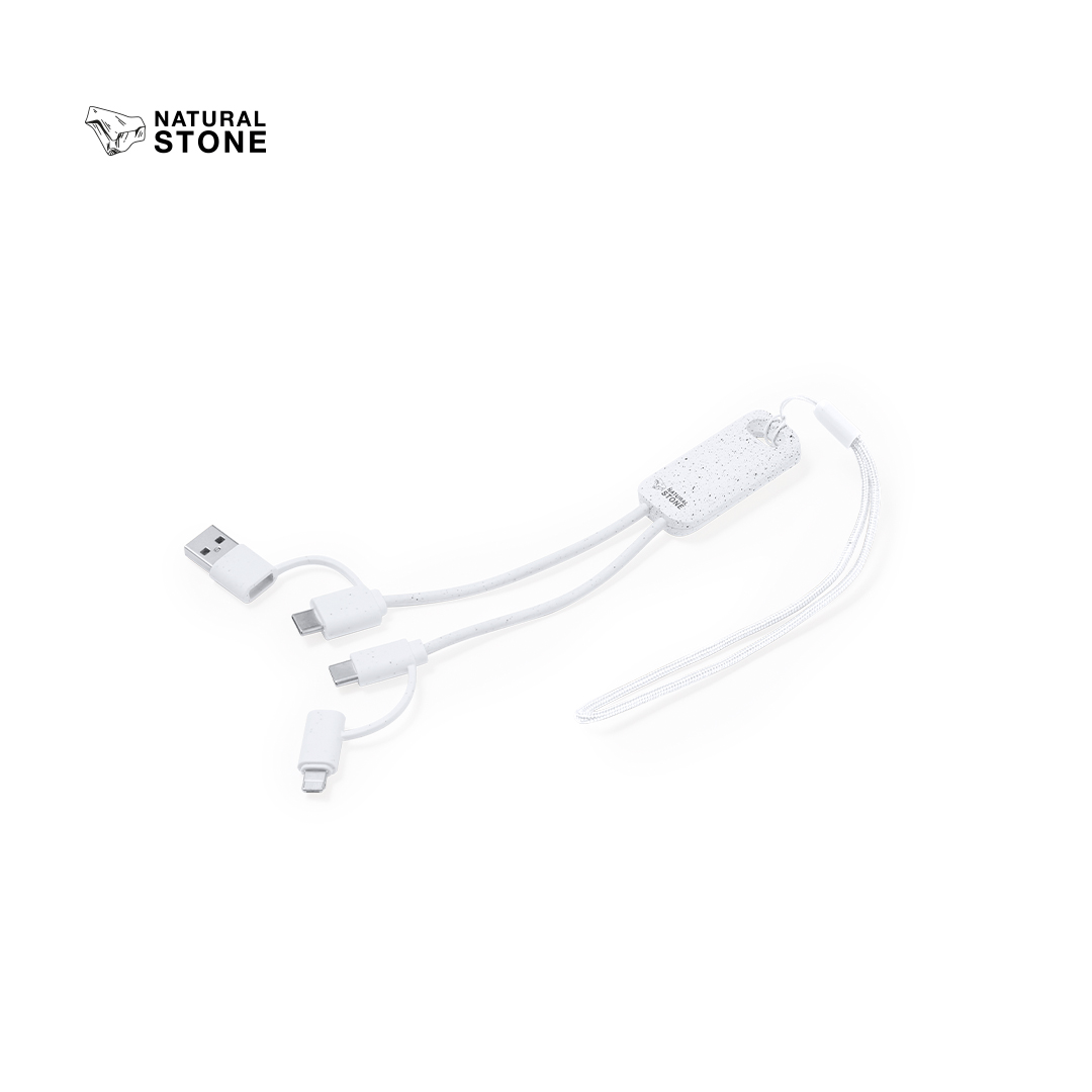 Câble de Charge Surgex