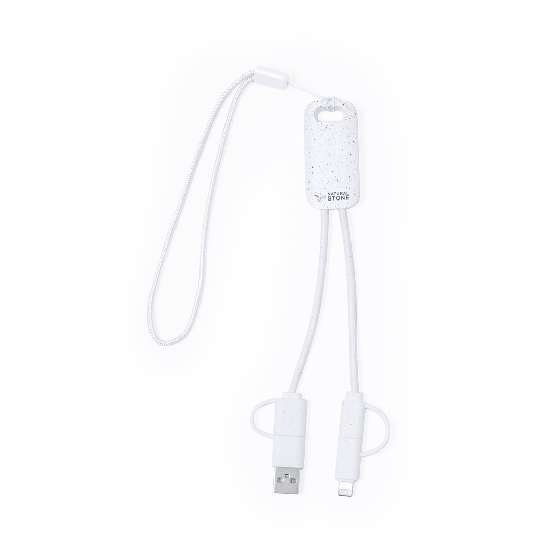 Câble de Charge Surgex