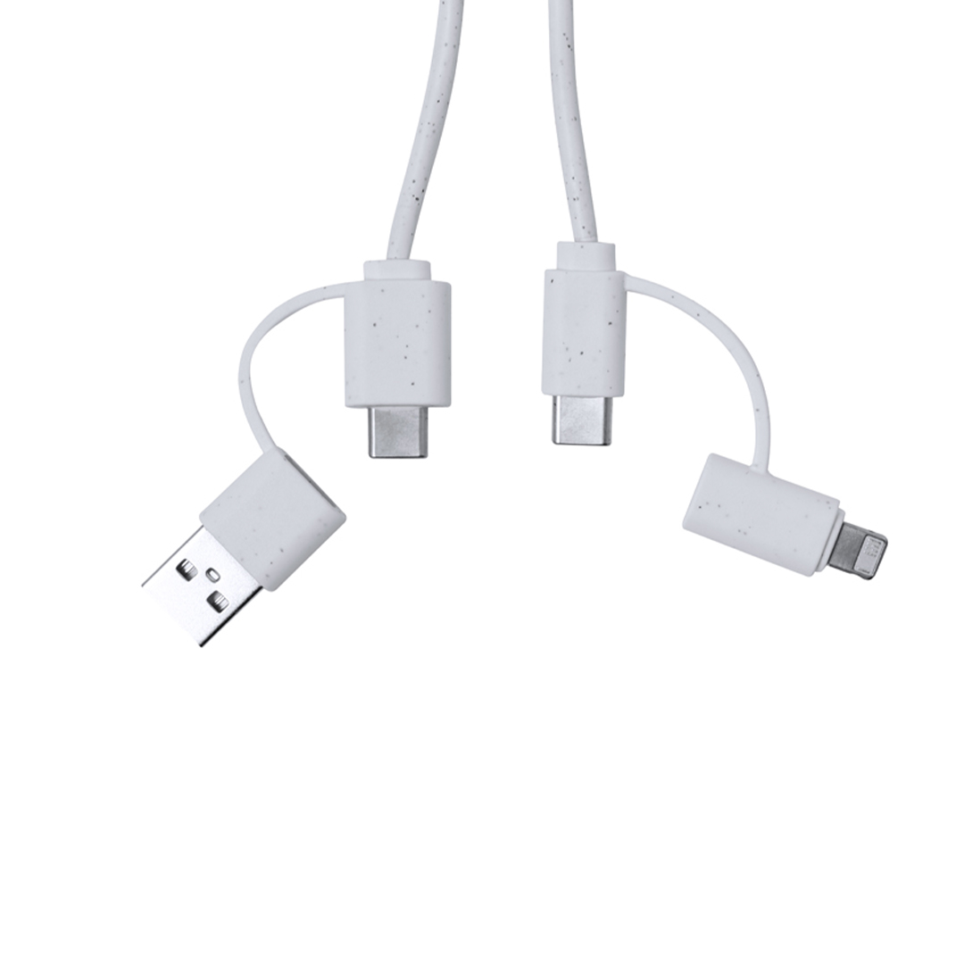 Câble de Charge Surgex