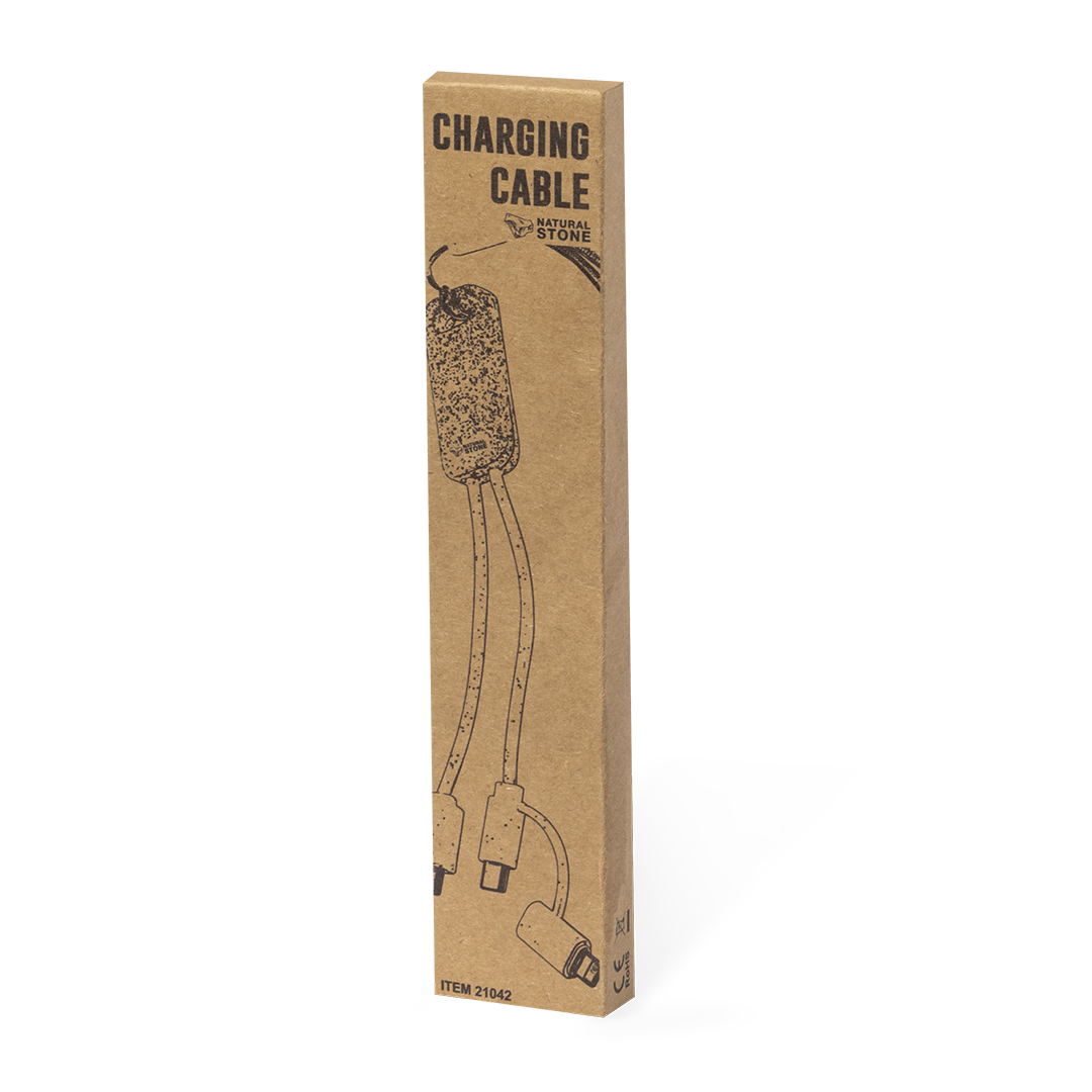 Câble de Charge Surgex