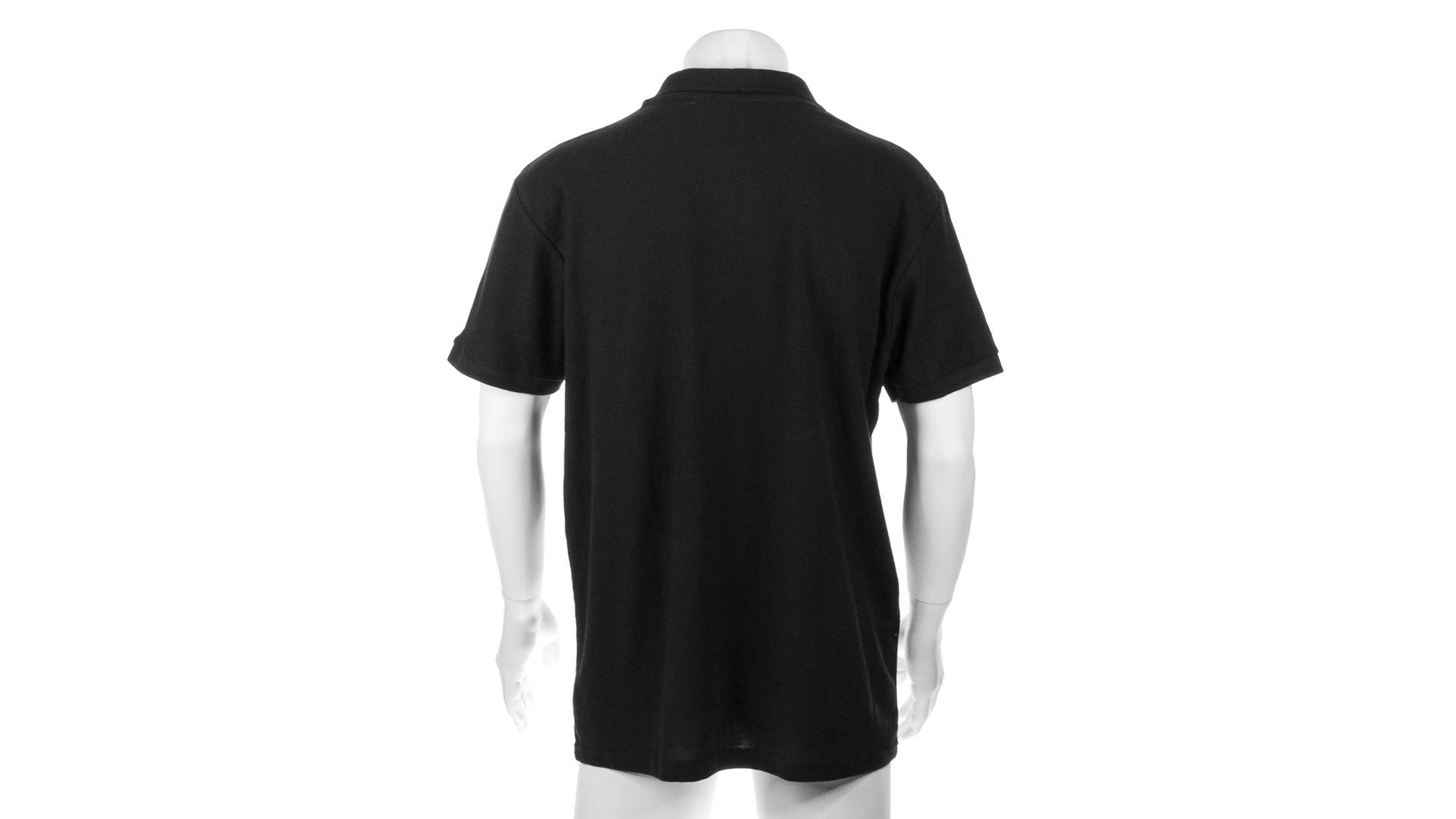 Polo Bartel Color