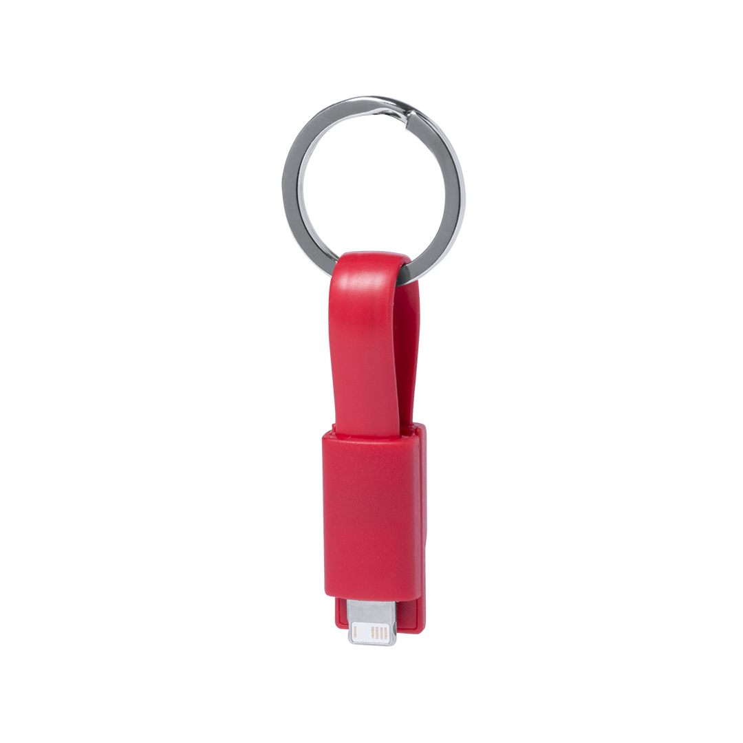 Câble de Charge Holnier