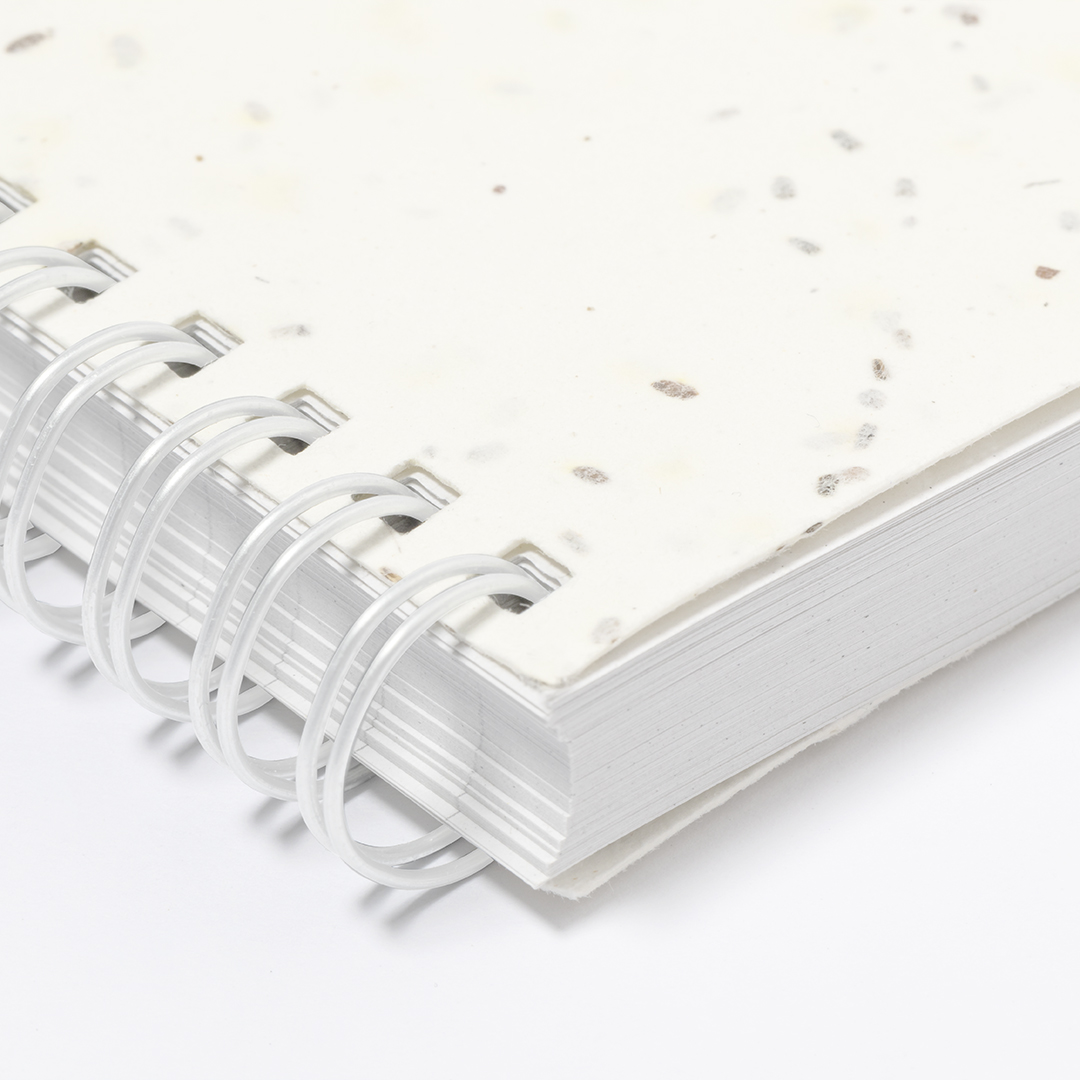 Cahier Ensemencé Bitar