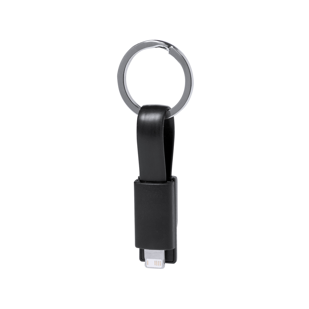 Câble de Charge Holnier