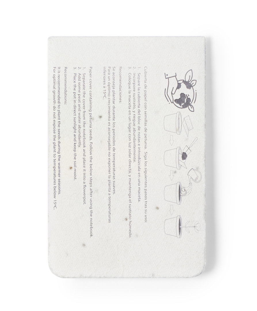 Bloc Notes Ensemencé Amenti