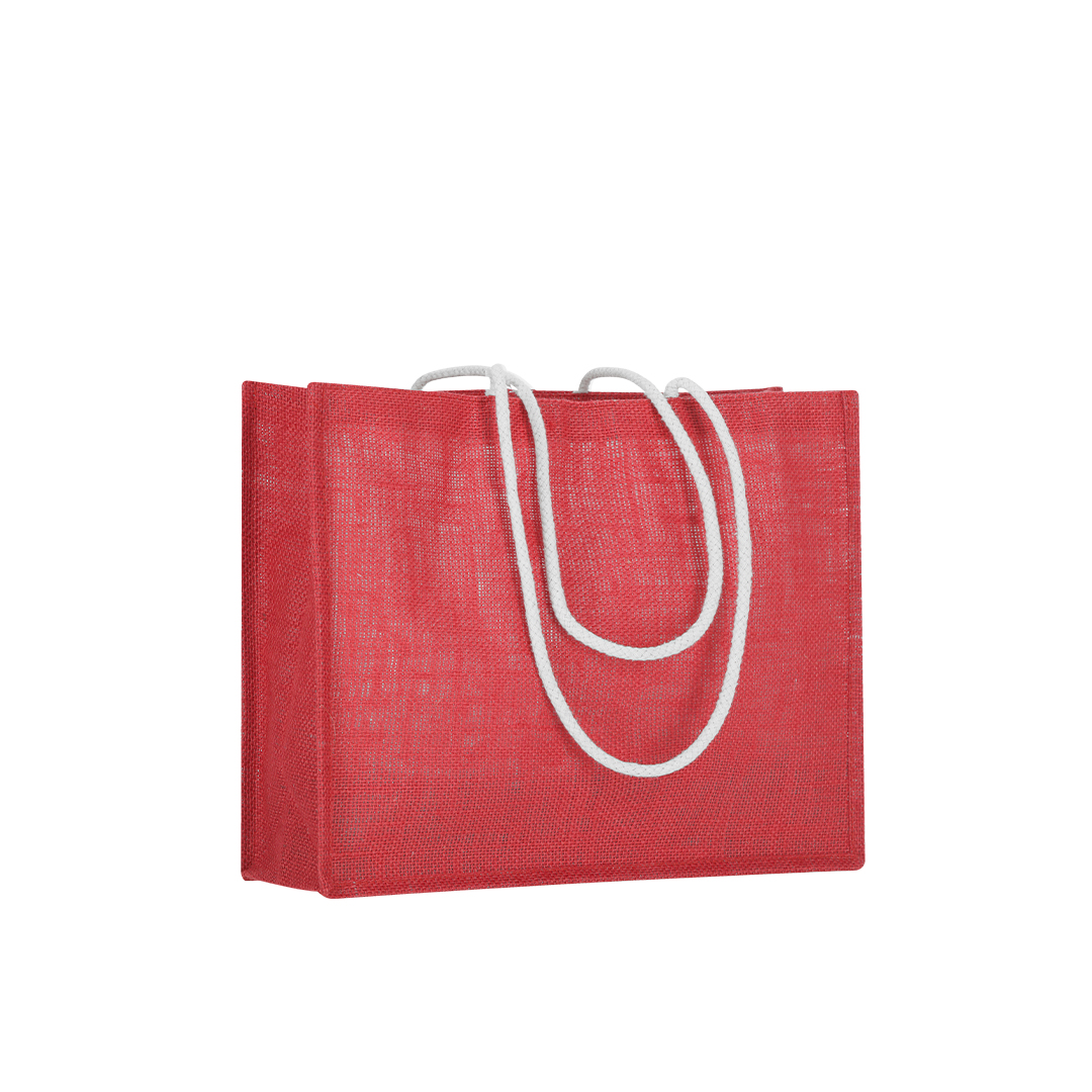 Sac Hintol