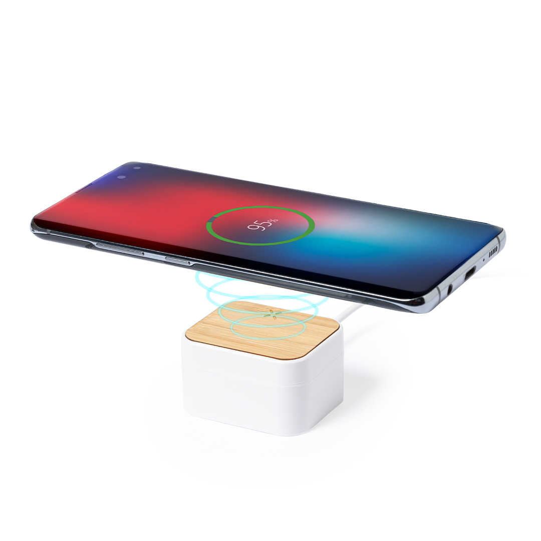 Écouteurs Chargeur Billins