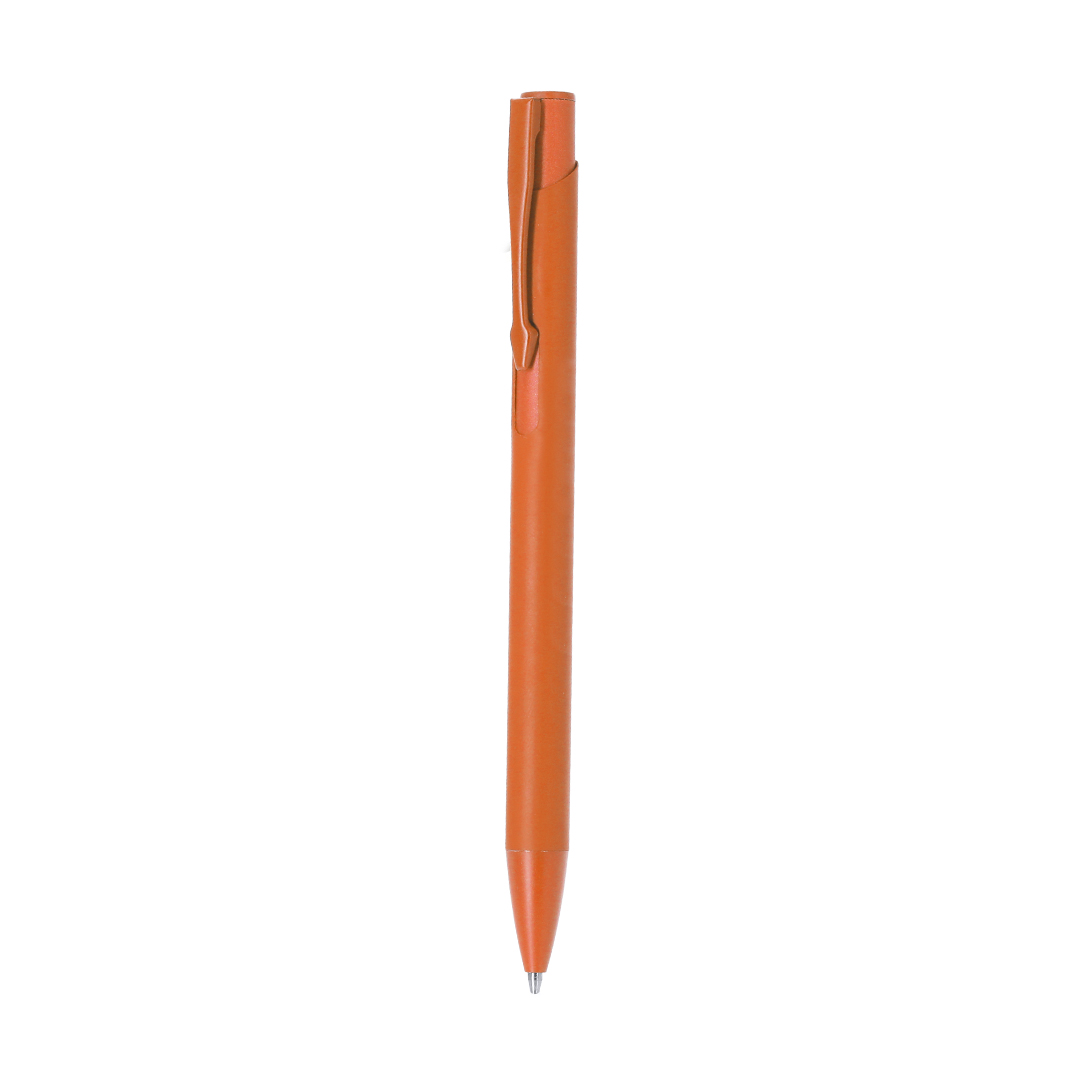 Stylet Vieso
