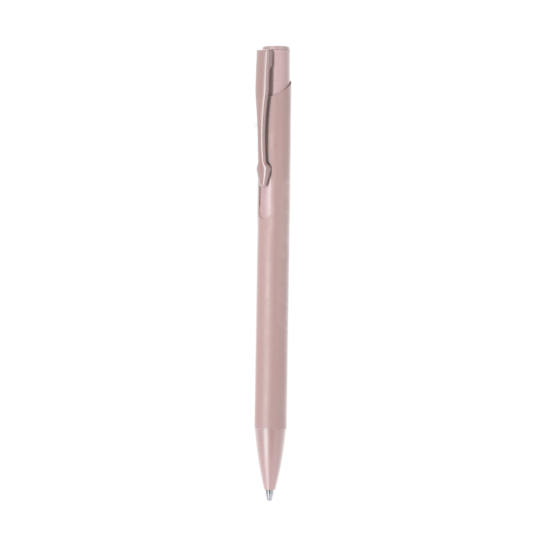 Stylet Vieso