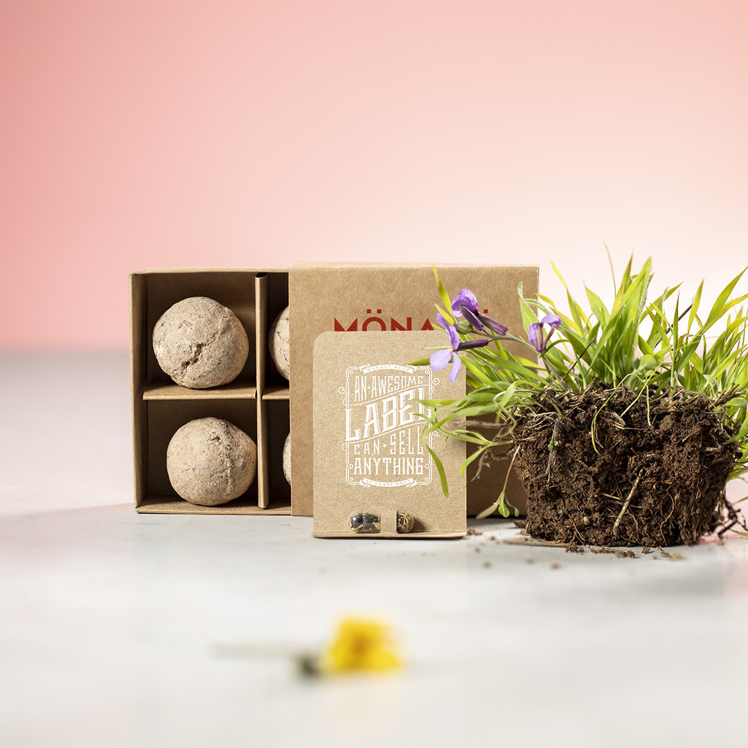 Capsule de Graine Biyok
