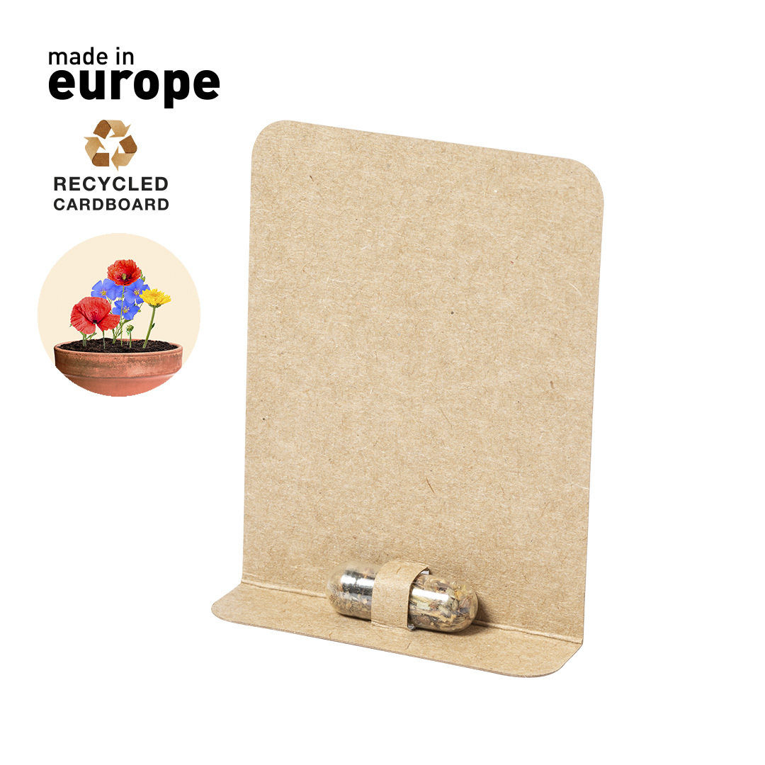 Capsule de Graine Biyok