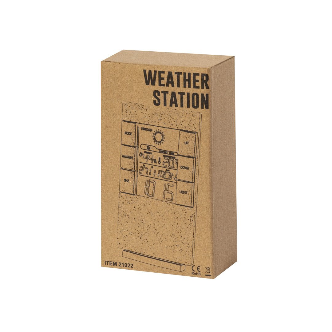 Station Météo Maginly