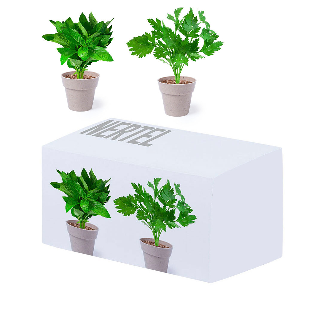 Set Pot de Fleurs Nertel