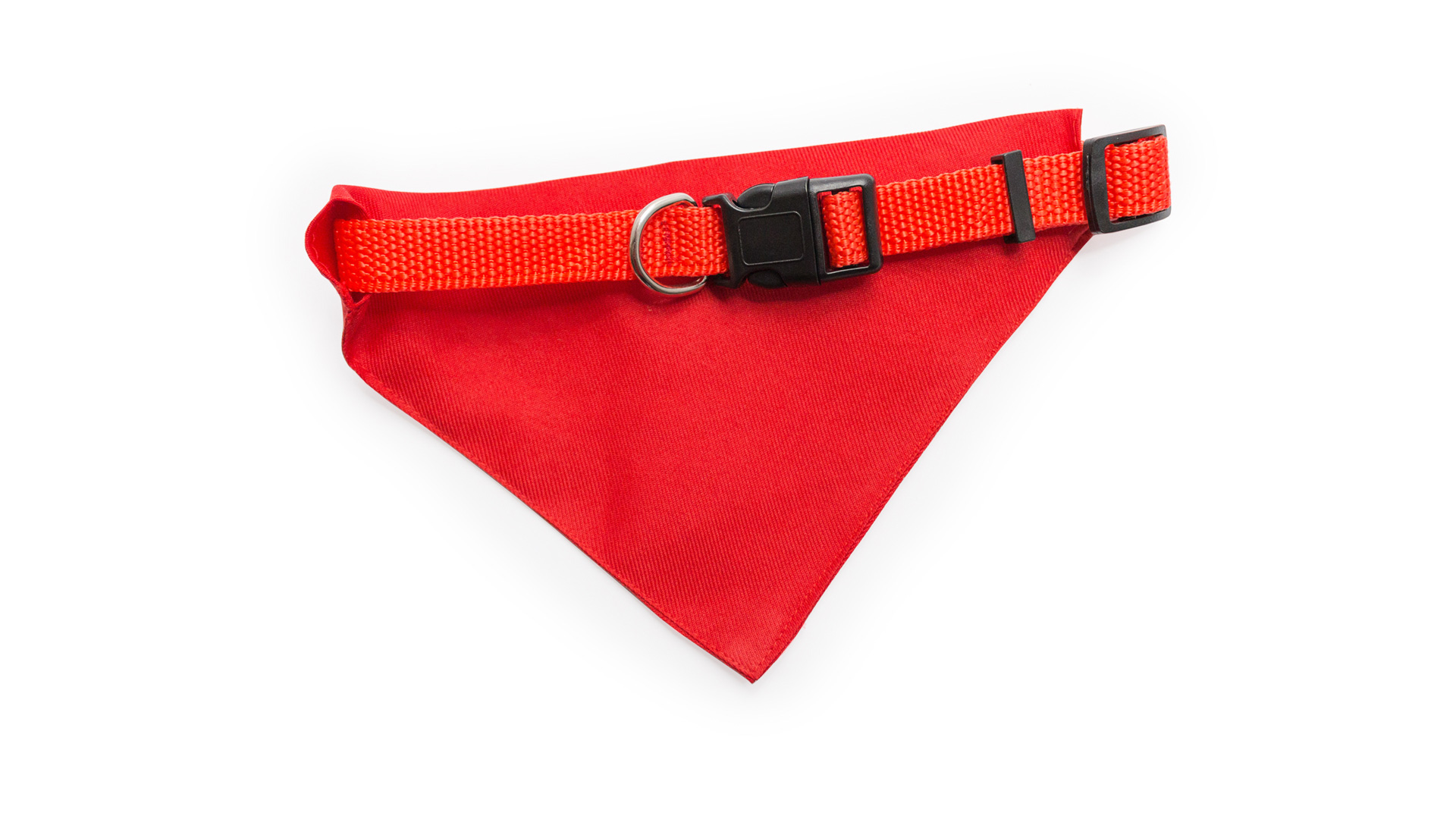 Collier Bandana Roco
