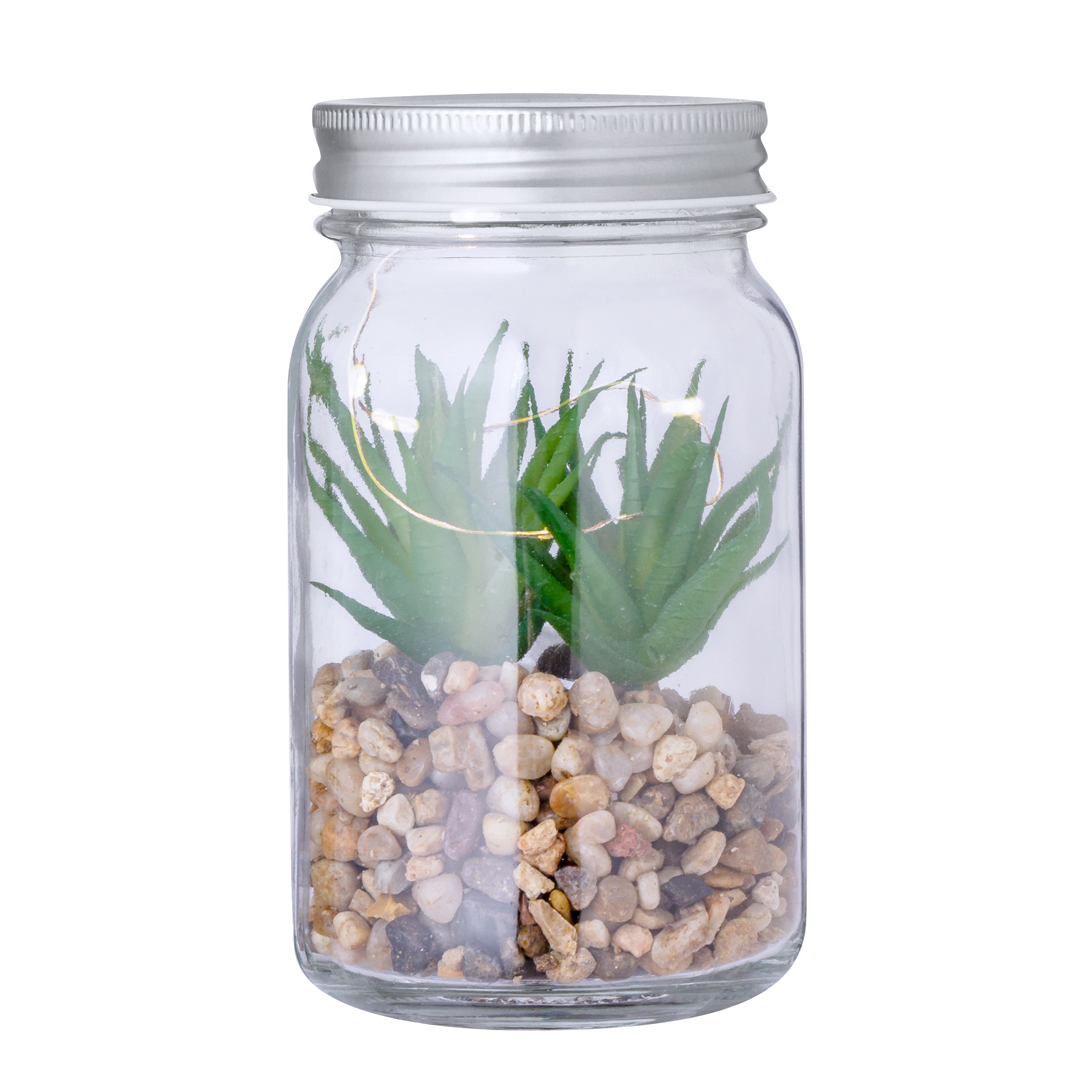 Plante Décorative Kyala