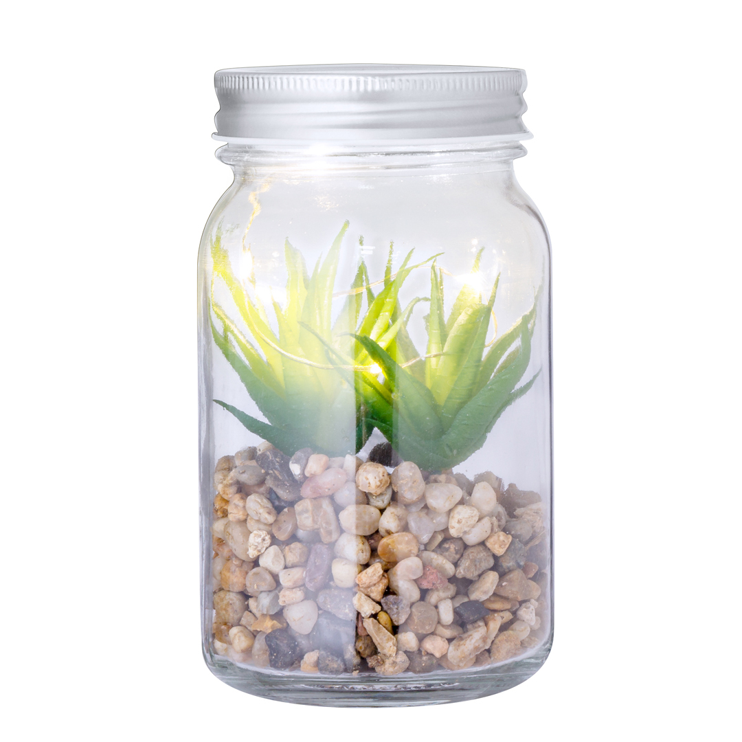 Plante Décorative Kyala