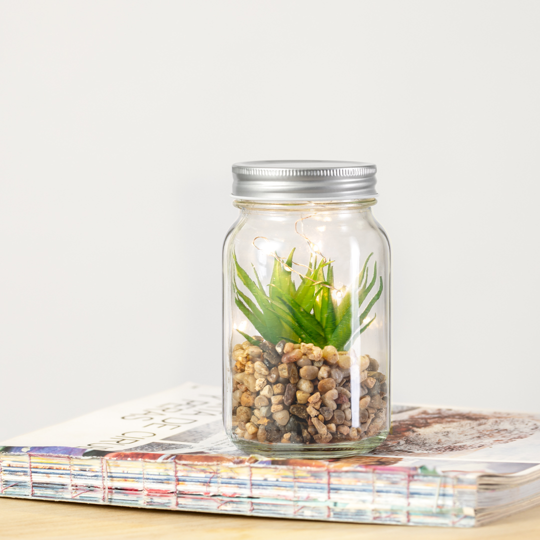 Plante Décorative Kyala