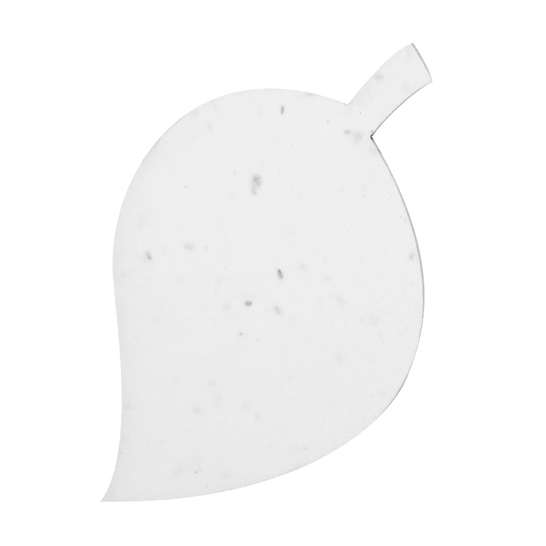 Papier Plantable Cryar