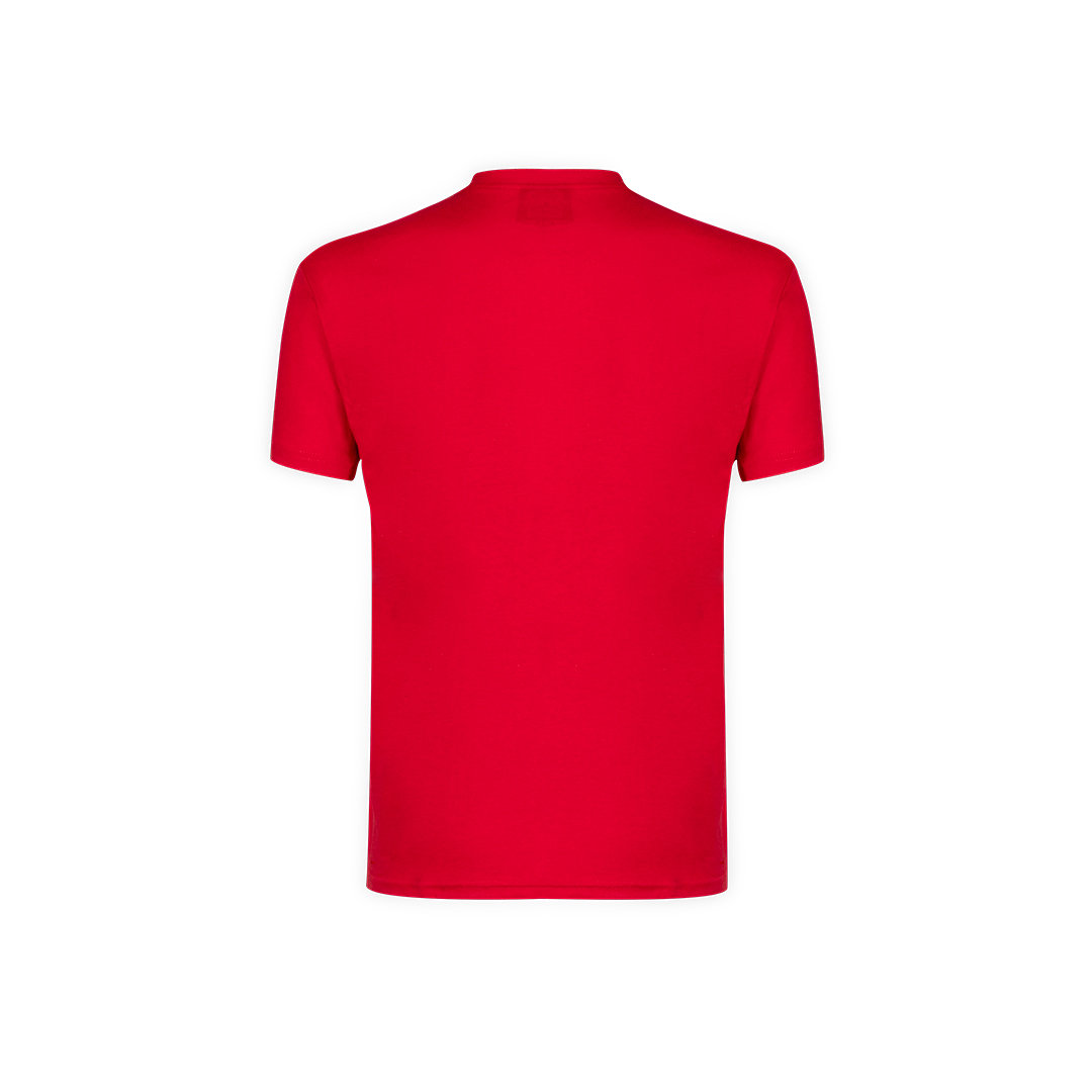 T-Shirt Adulte Couleur Premium