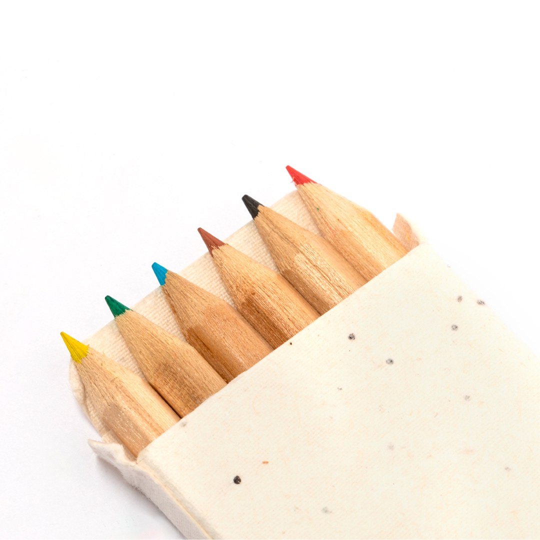 Boîte Crayons Ensemencé Delar