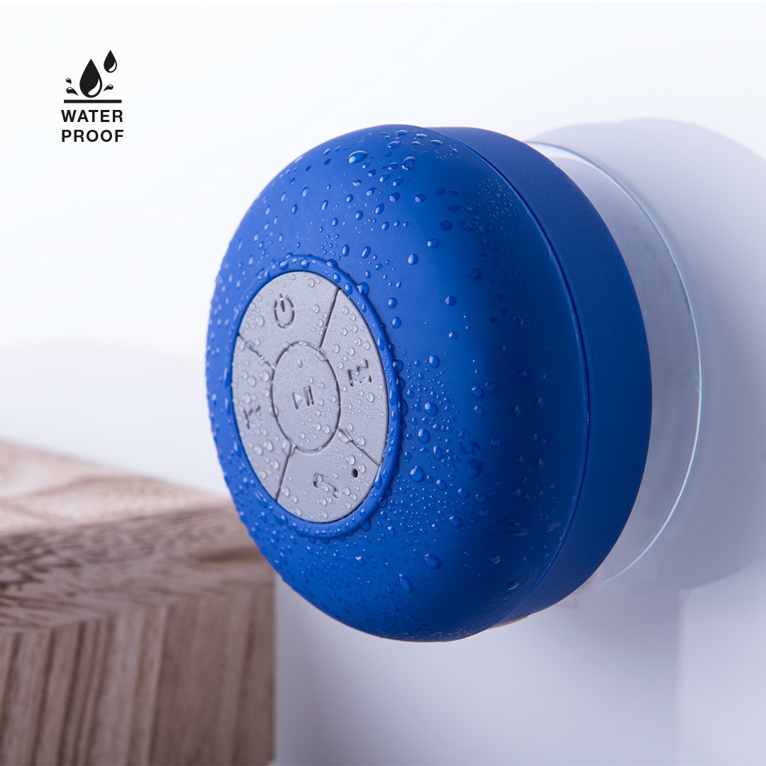 Haut-Parleur Rariax