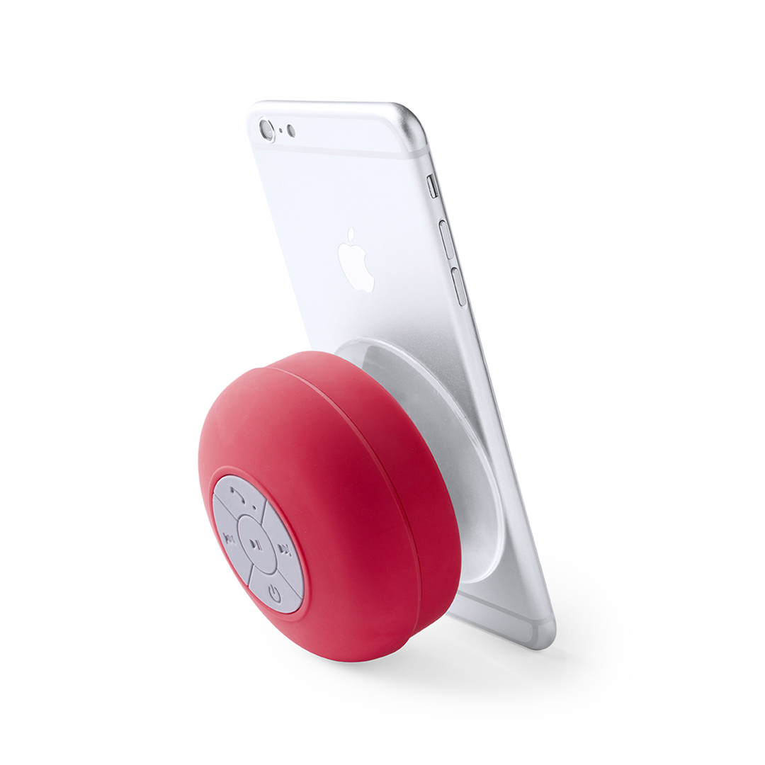 Haut-Parleur Rariax