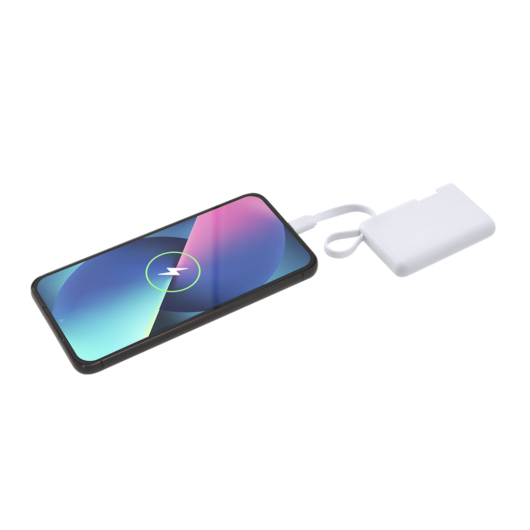 Power Bank Brandin