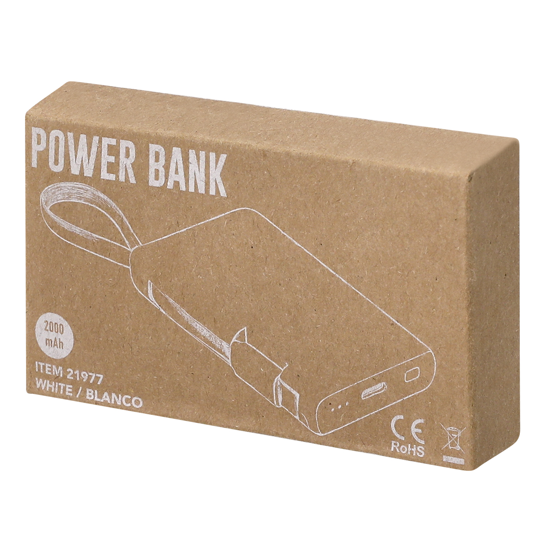 Power Bank Brandin