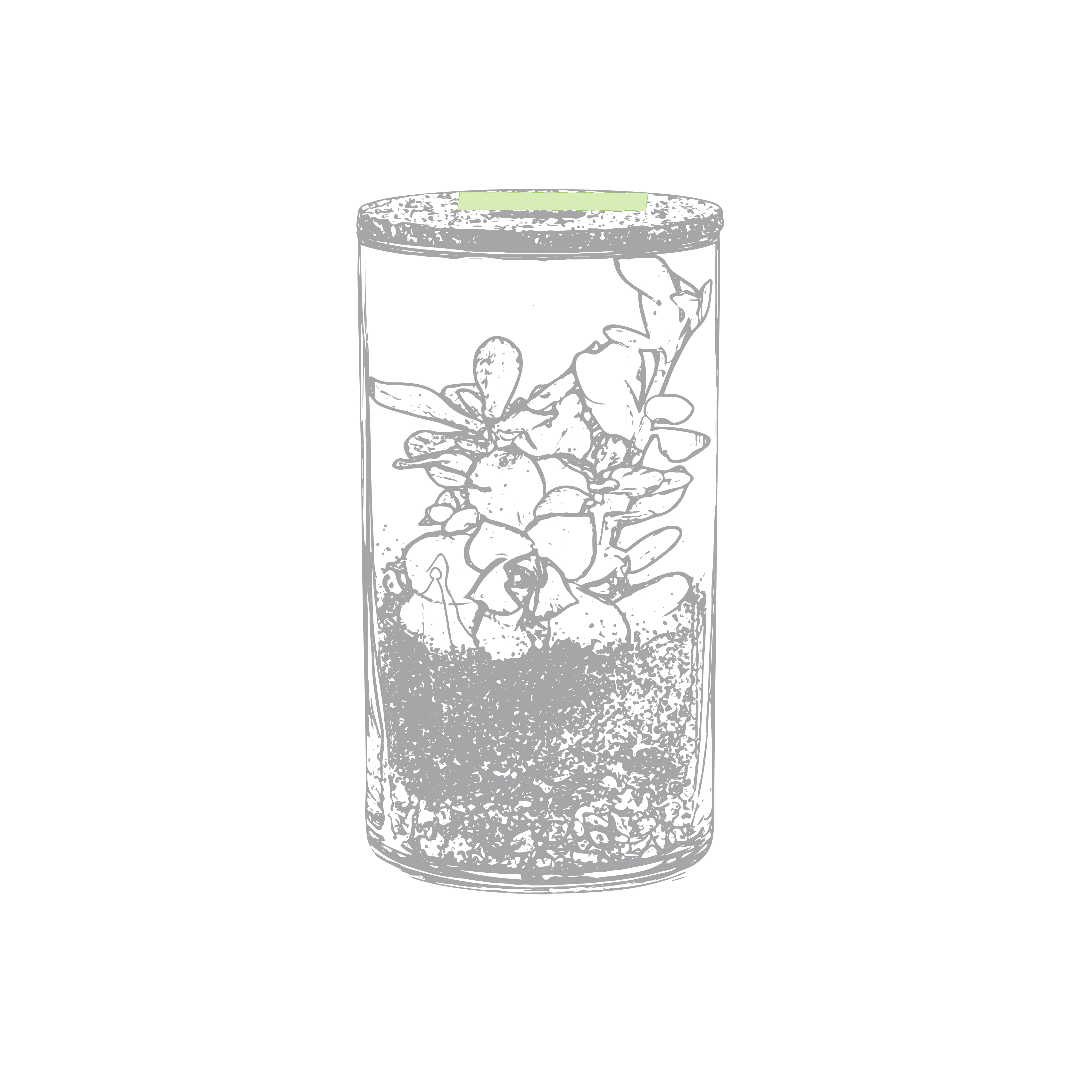 Terrarium Anymak