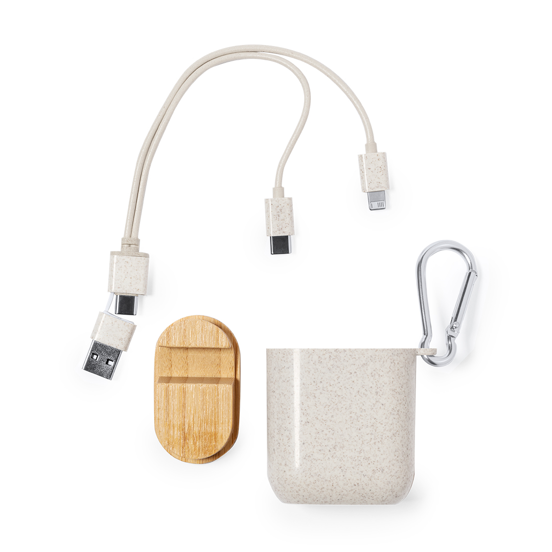 Câble de Charge Brayce