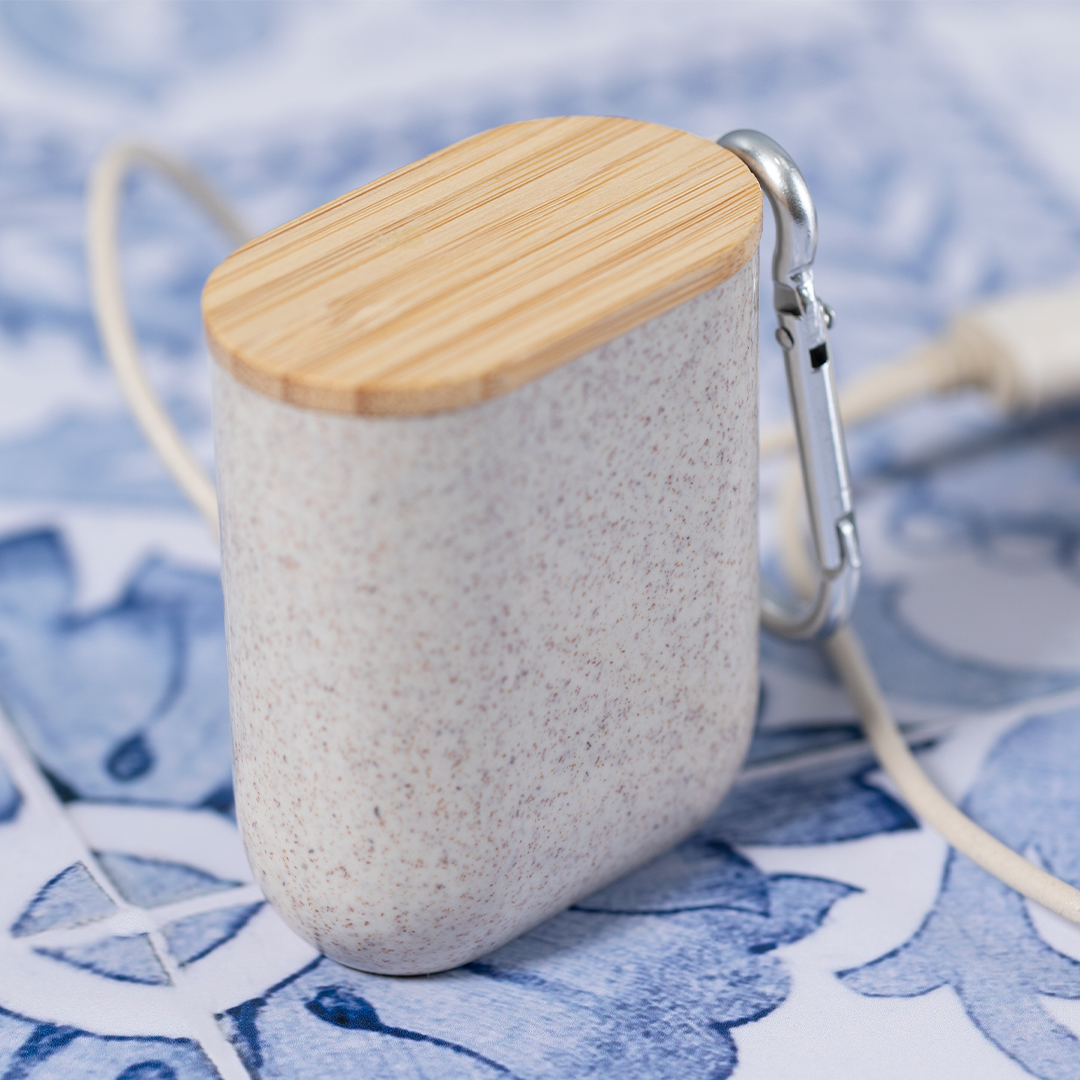 Câble de Charge Brayce