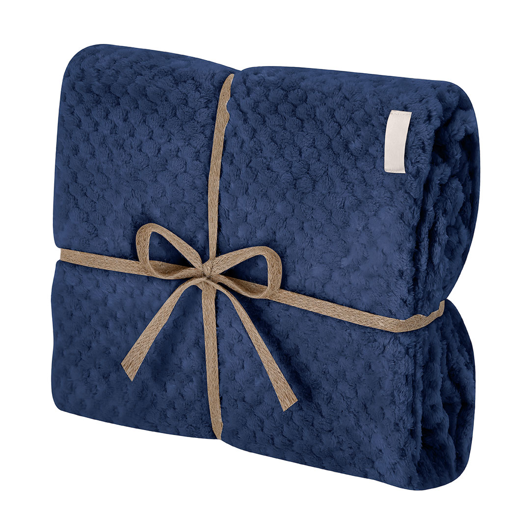 Couverture Iridian