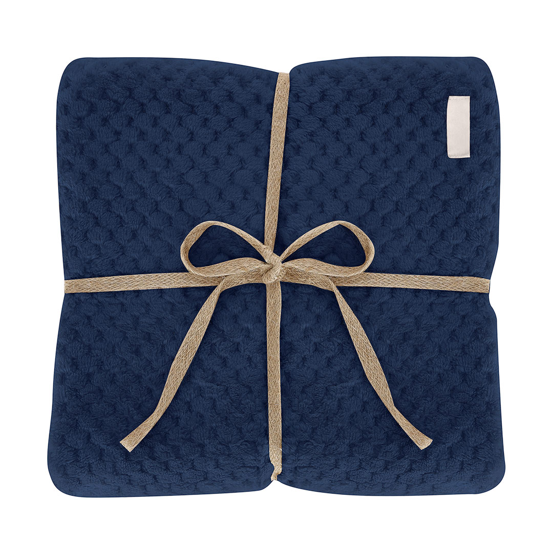 Couverture Iridian