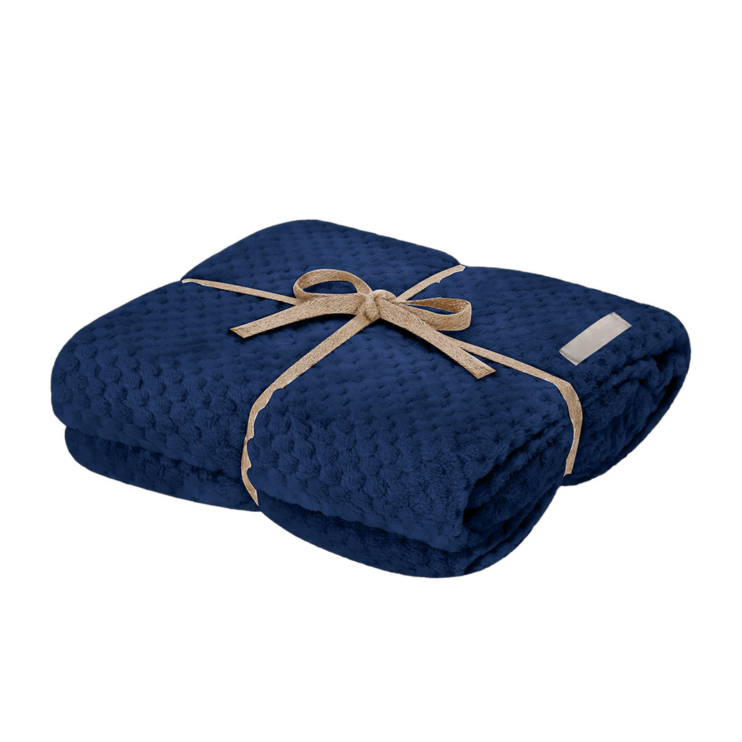 Couverture Iridian