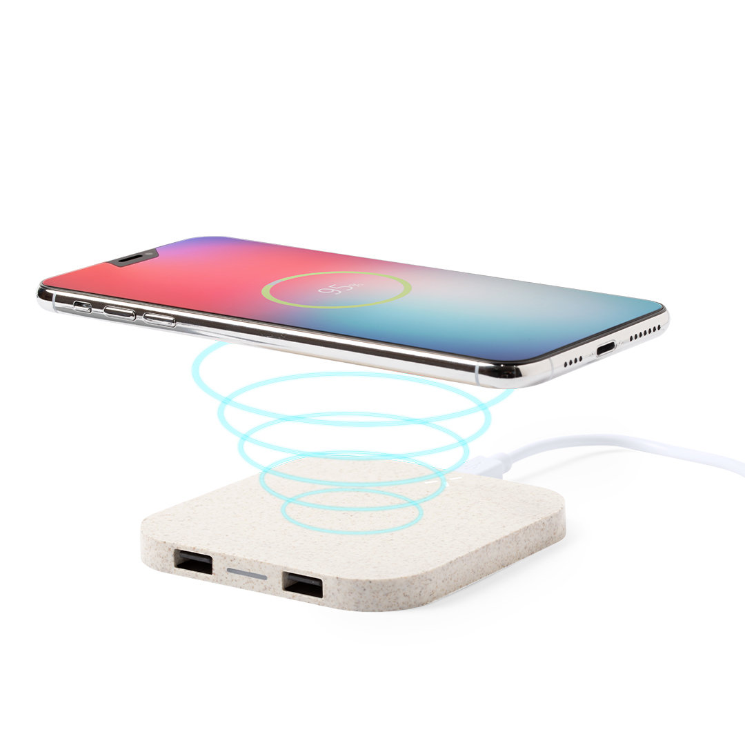 Chargeur Riens