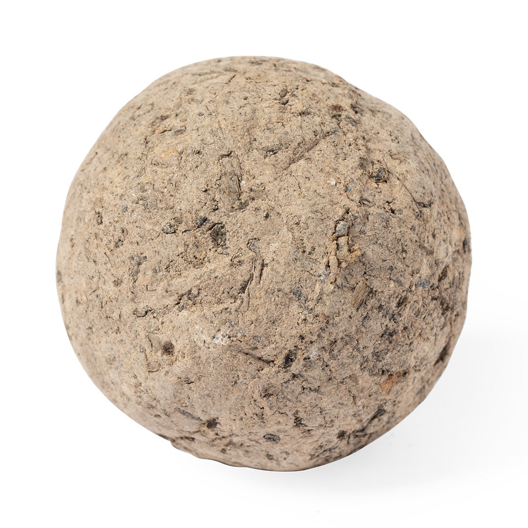 Bonbon Graines Mussox