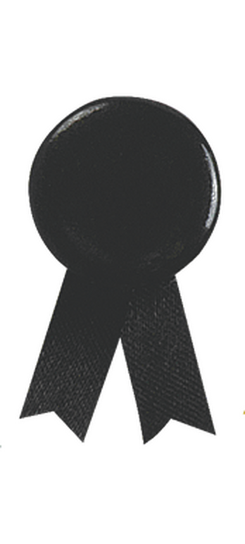 Pin's Ruban Solidario