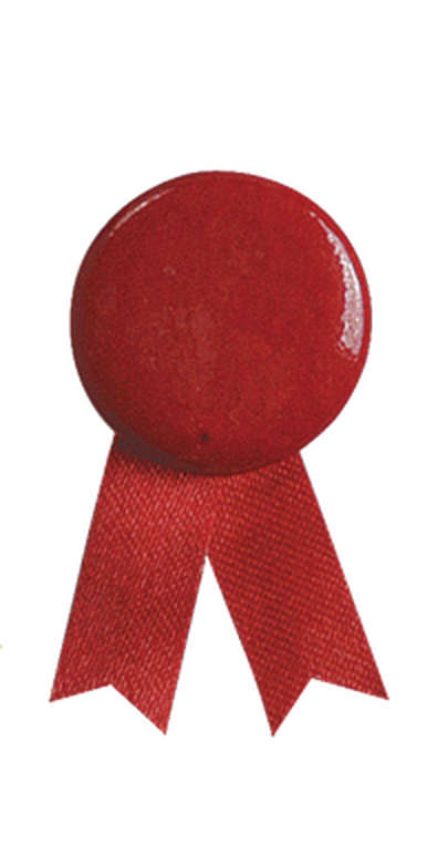 Pin's Ruban Solidario